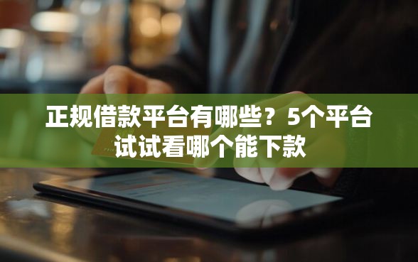 正规借款平台有哪些？5个平台试试看哪个能下款