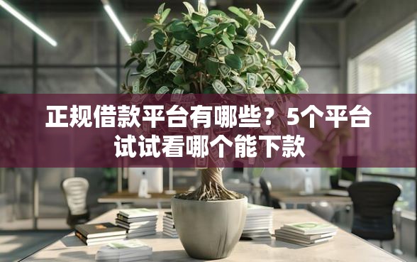 正规借款平台有哪些？5个平台试试看哪个能下款