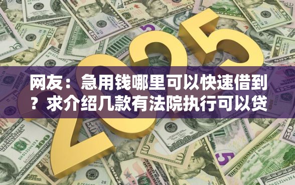 网友：急用钱哪里可以快速借到？求介绍几款有法院执行可以贷款的口子