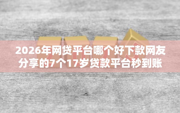 2026年网贷平台哪个好下款网友分享的7个17岁贷款平台秒到账我觉得不错！