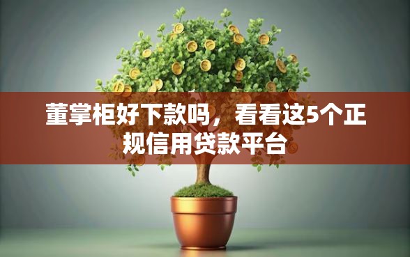 董掌柜好下款吗，看看这5个正规信用贷款平台