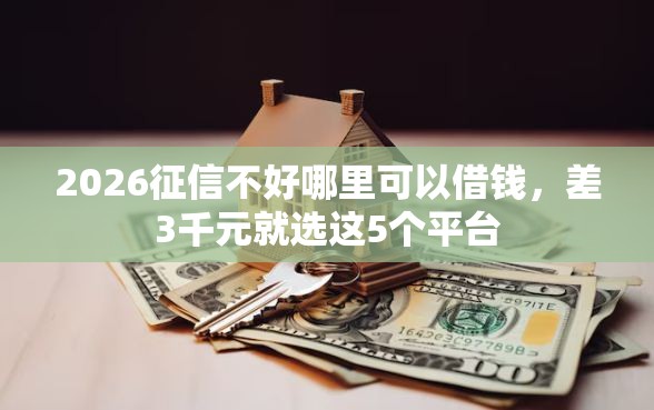 2026征信不好哪里可以借钱，差3千元就选这5个平台