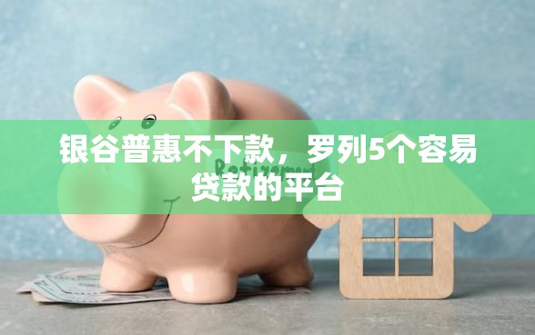 银谷普惠不下款，罗列5个容易贷款的平台