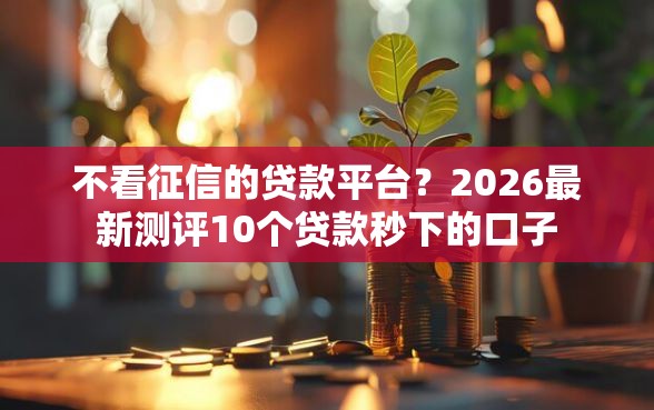 不看征信的贷款平台？2026最新测评10个贷款秒下的口子