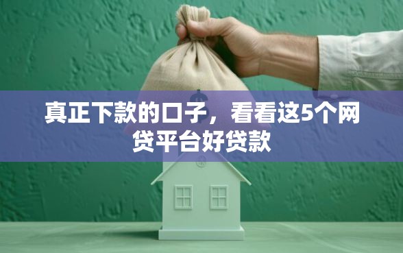 真正下款的口子，看看这5个网贷平台好贷款