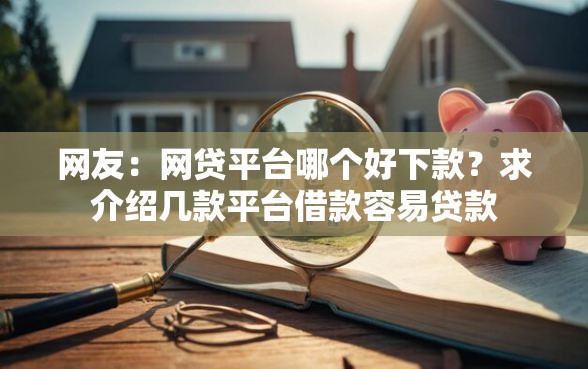 网友：网贷平台哪个好下款？求介绍几款平台借款容易贷款