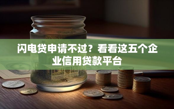 闪电贷申请不过？看看这五个企业信用贷款平台