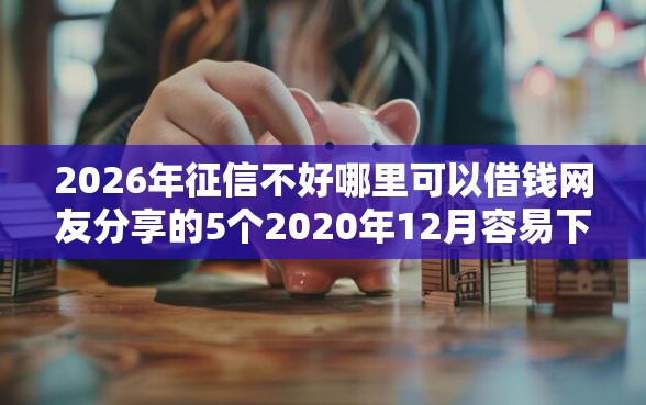 2026年征信不好哪里可以借钱网友分享的5个2020年12月容易下款的口子我觉得不错！