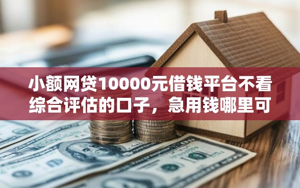 小额网贷10000元借钱平台不看综合评估的口子，急用钱哪里可以快速借到的8个平台介绍