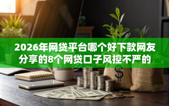 2026年网贷平台哪个好下款网友分享的8个网贷口子风控不严的平台我觉得不错！