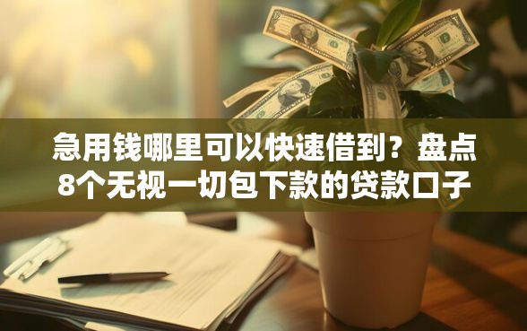 急用钱哪里可以快速借到？盘点8个无视一切包下款的贷款口子给你参考