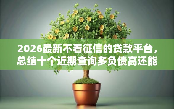 2026最新不看征信的贷款平台，总结十个近期查询多负债高还能出额度的口子！
