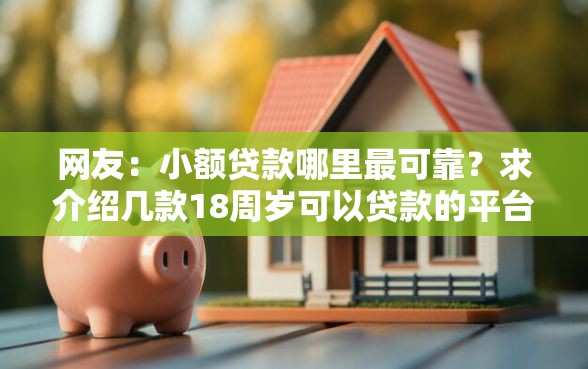 网友：小额贷款哪里最可靠？求介绍几款18周岁可以贷款的平台