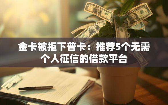 金卡被拒下普卡：推荐5个无需个人征信的借款平台