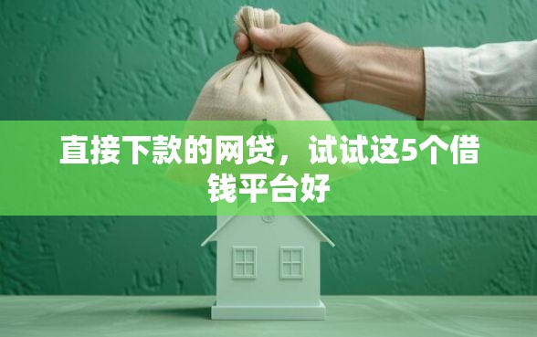 直接下款的网贷，试试这5个借钱平台好