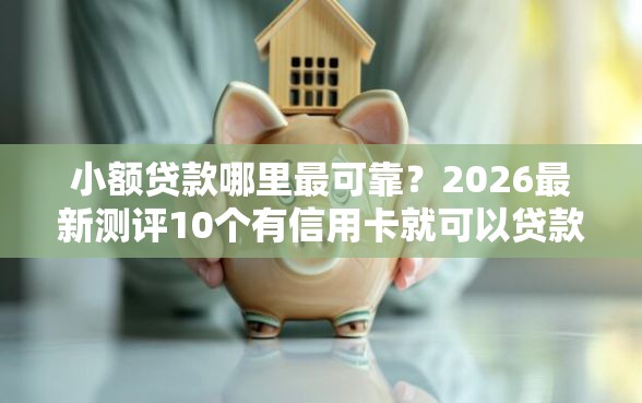 小额贷款哪里最可靠？2026最新测评10个有信用卡就可以贷款的平台