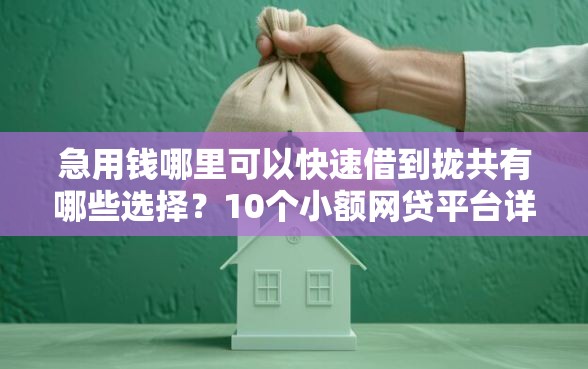 急用钱哪里可以快速借到拢共有哪些选择？10个小额网贷平台详解