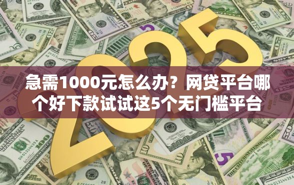 急需1000元怎么办？网贷平台哪个好下款试试这5个无门槛平台