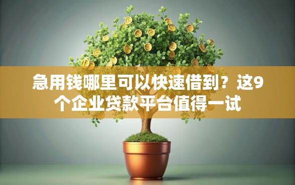 急用钱哪里可以快速借到？这9个企业贷款平台值得一试