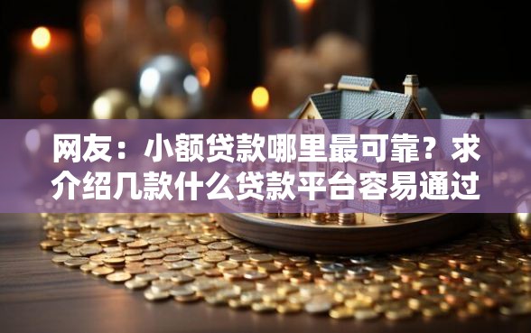 网友：小额贷款哪里最可靠？求介绍几款什么贷款平台容易通过