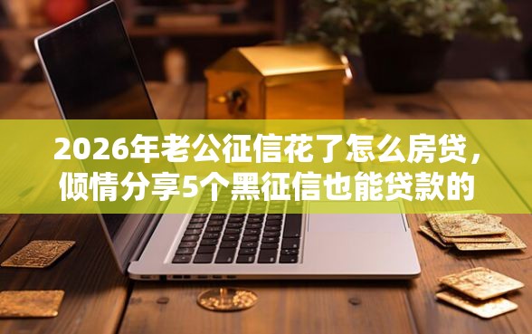 2026年老公征信花了怎么房贷，倾情分享5个黑征信也能贷款的网贷平台