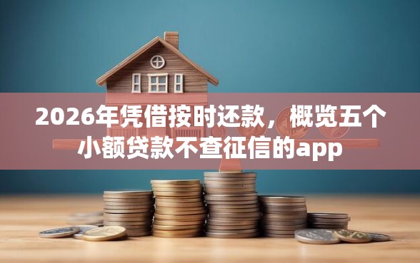 2026年凭借按时还款，概览五个小额贷款不查征信的app