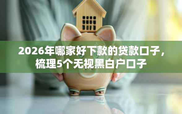 2026年哪家好下款的贷款口子，梳理5个无视黑白户口子