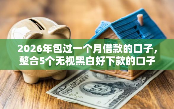 2026年包过一个月借款的口子，整合5个无视黑白好下款的口子