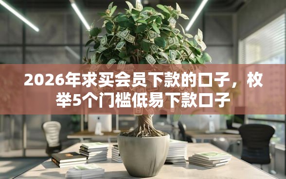 2026年求买会员下款的口子，枚举5个门槛低易下款口子