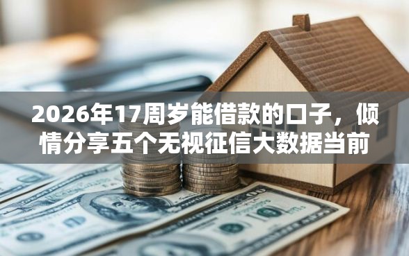 2026年17周岁能借款的口子，倾情分享五个无视征信大数据当前逾期下款的口子