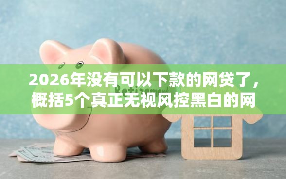 2026年没有可以下款的网贷了，概括5个真正无视风控黑白的网贷平台