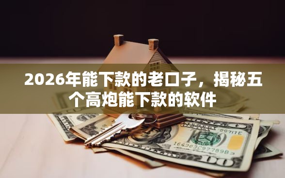 2026年能下款的老口子，揭秘五个高炮能下款的软件