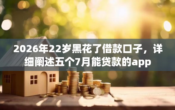 2026年22岁黑花了借款口子，详细阐述五个7月能贷款的app