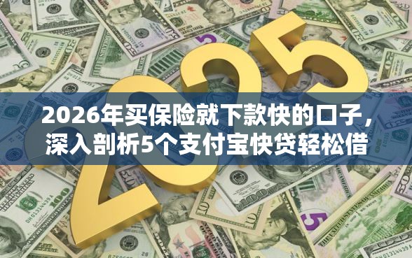 2026年买保险就下款快的口子，深入剖析5个支付宝快贷轻松借口子