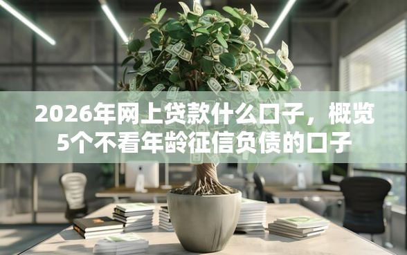 2026年网上贷款什么口子，概览5个不看年龄征信负债的口子