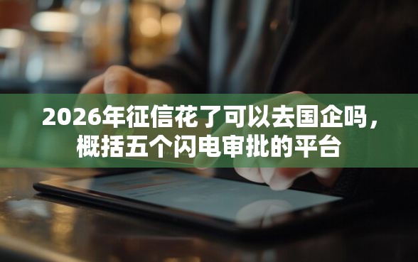2026年征信花了可以去国企吗,概括五个闪电审批的平台 2026年征信花了可以去国企吗,概括五个闪电审批的平台