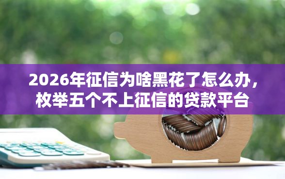 2026年征信为啥黑花了怎么办，枚举五个不上征信的贷款平台