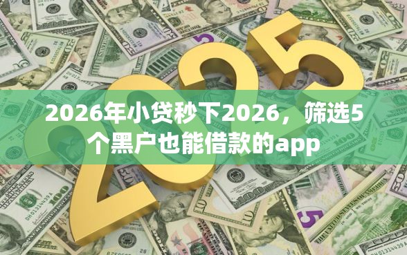 2026年小贷秒下2026,筛选5个黑户也能借款的app 2026年小贷秒下2026,筛选5个黑户也能借款的app