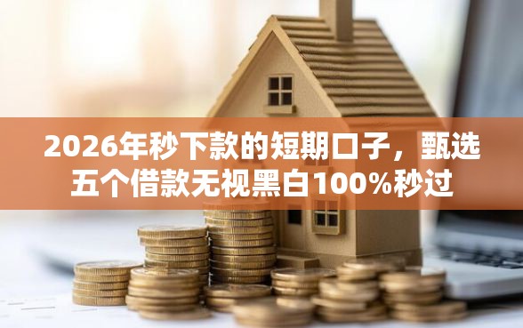 2026年秒下款的短期口子，甄选五个借款无视黑白100%秒过