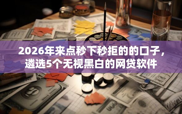 2026年来点秒下秒拒的的口子，遴选5个无视黑白的网贷软件