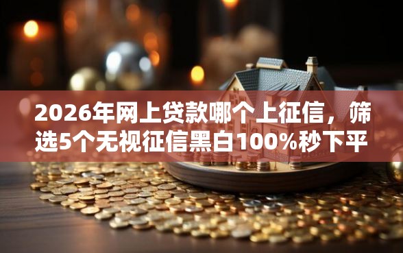 2026年网上贷款哪个上征信，筛选5个无视征信黑白100%秒下平台