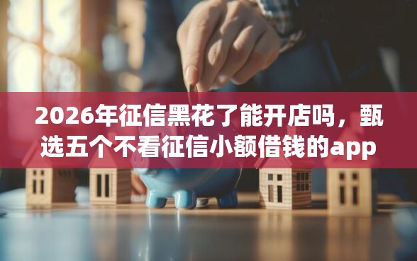 2026年征信黑花了能开店吗，甄选五个不看征信小额借钱的app