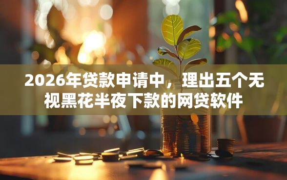 2026年贷款申请中，理出五个无视黑花半夜下款的网贷软件
