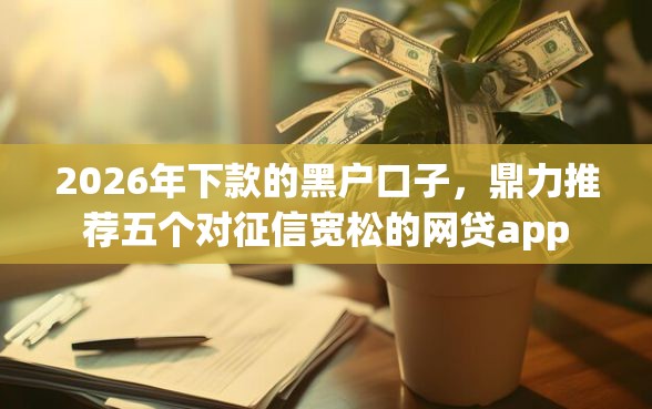 2026年下款的黑户口子，鼎力推荐五个对征信宽松的网贷app