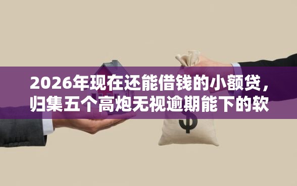 2026年现在还能借钱的小额贷,归集五个高炮无视逾期能下的软件 2026年现在还能借钱的小额贷,归集五个高炮无视逾期能下的软件