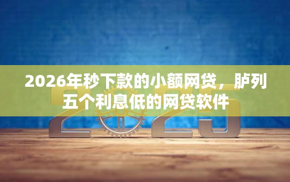 2026年秒下款的小额网贷，胪列五个利息低的网贷软件