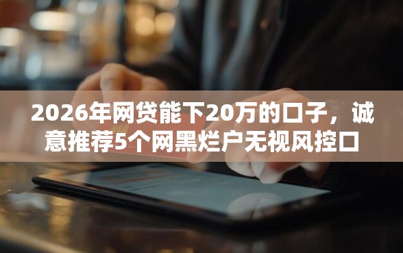 2026年网贷能下20万的口子，诚意推荐5个网黑烂户无视风控口子