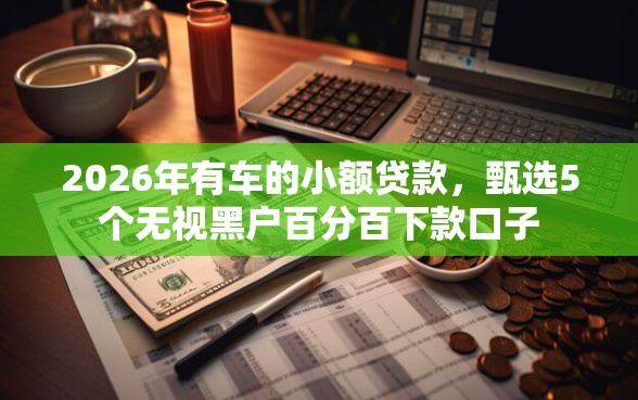 2026年有车的小额贷款，甄选5个无视黑户百分百下款口子