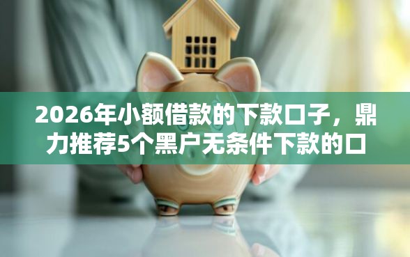 2026年小额借款的下款口子，鼎力推荐5个黑户无条件下款的口子