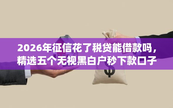 2026年征信花了税贷能借款吗，精选五个无视黑白户秒下款口子app